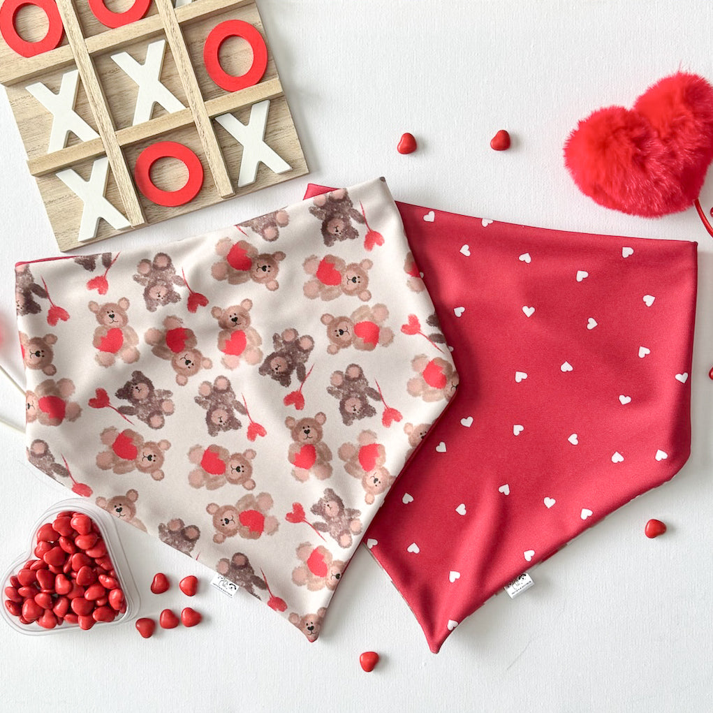 Fresh Love Reversible Weatherproof Dog Bandanas - Beary In Love