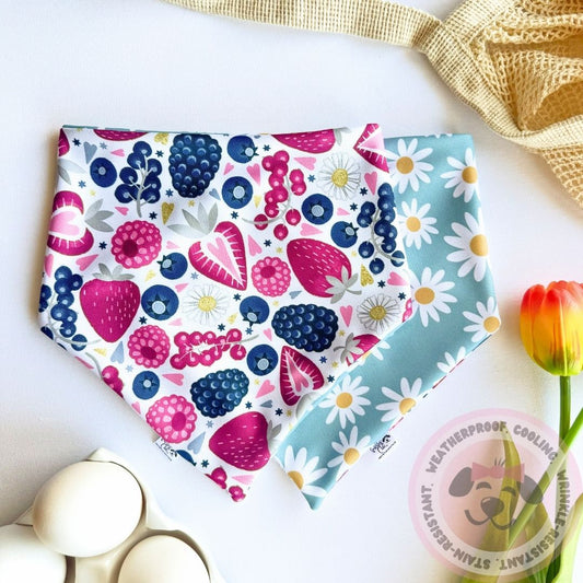 Springtime Charm Reversible Weatherproof Dog Bandana