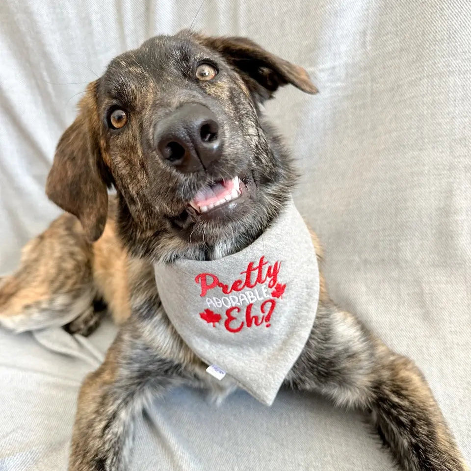Pretty Adorable, Eh? Embroidered Bandana
