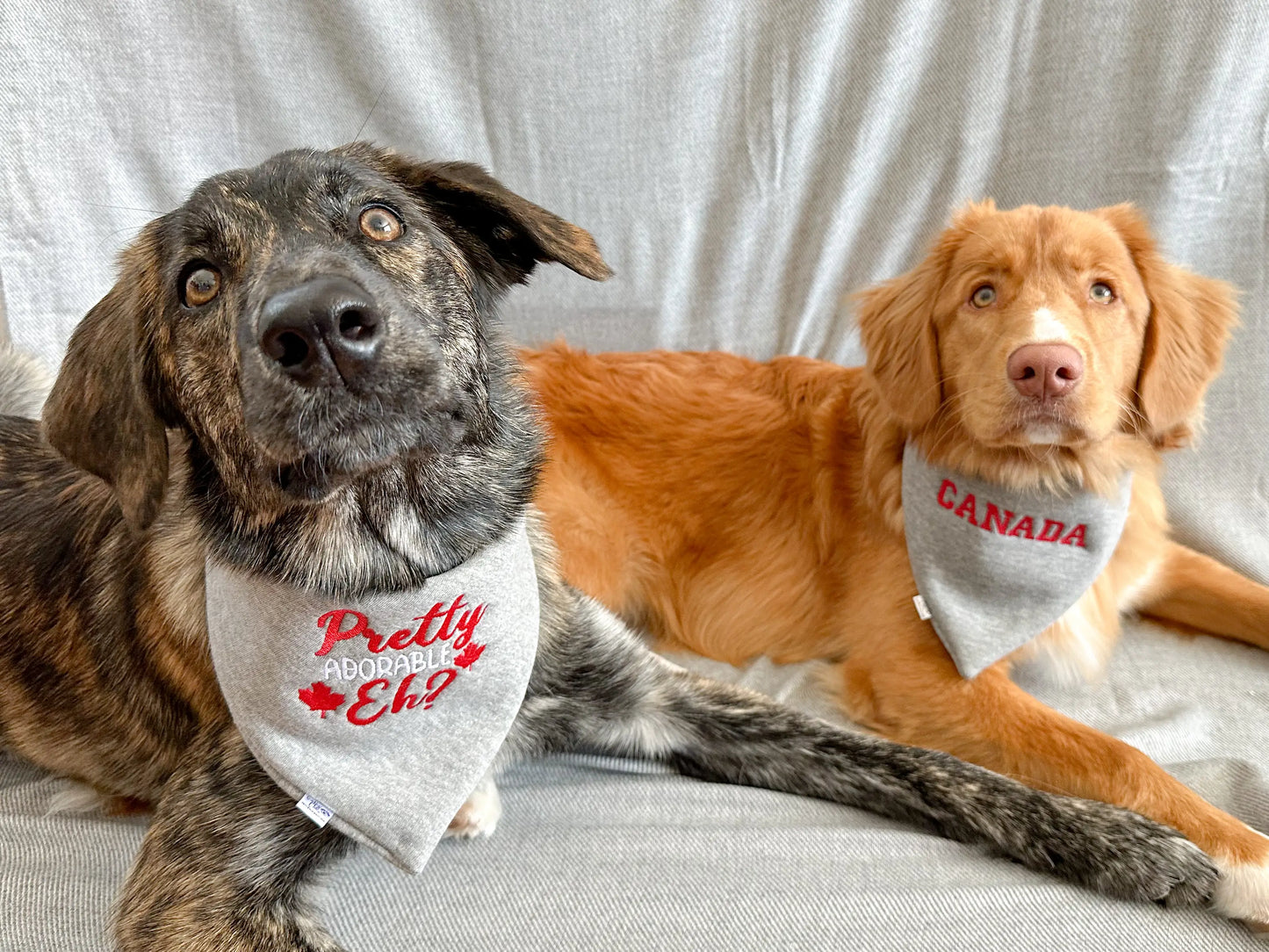 CANADA Embroidered Bandana