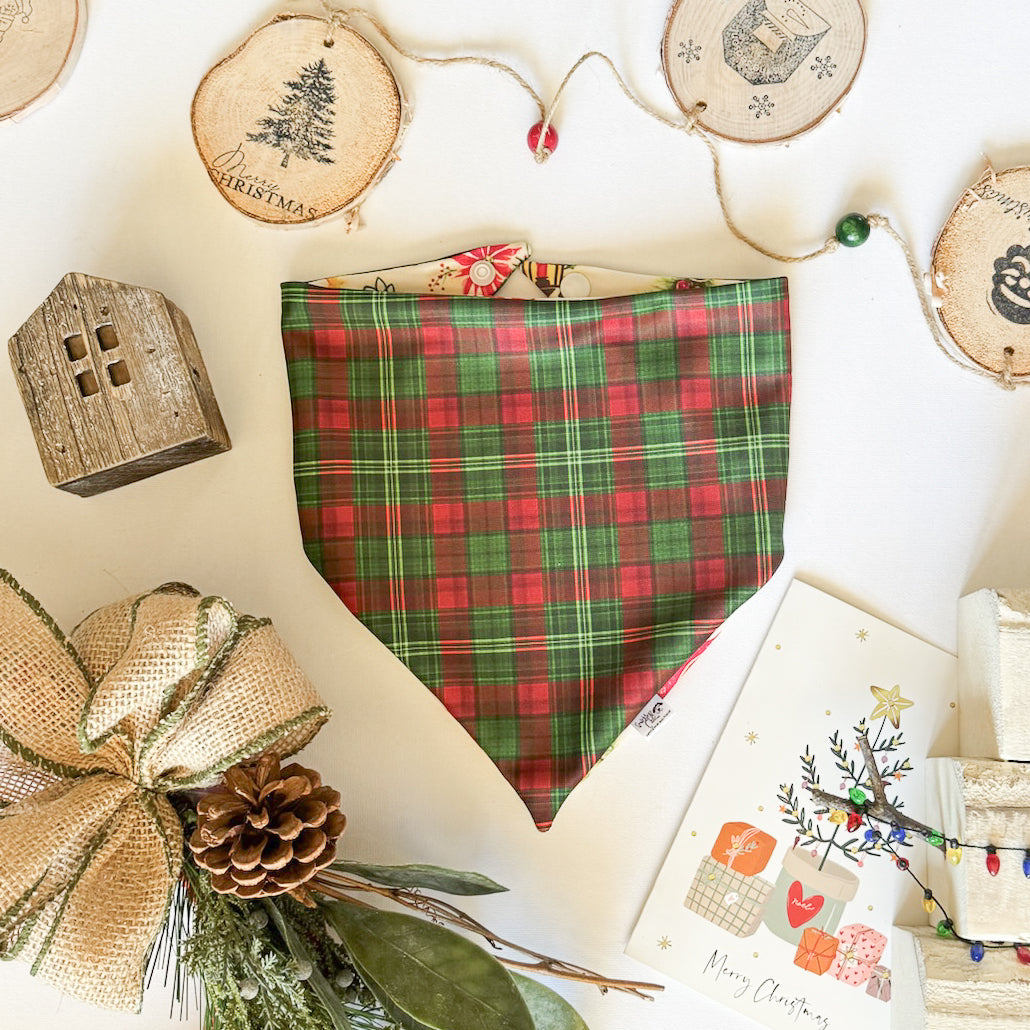 Festive Fun Reversible Weatherproof Dog Bandanas