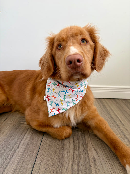 Very Happy Birthday Celebration Reversible Weatherproof Dog Bandana