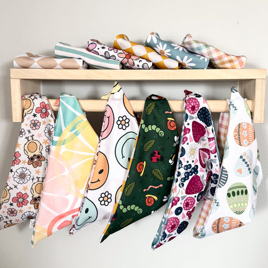Springtime Charm Reversible Weatherproof Dog Bandana