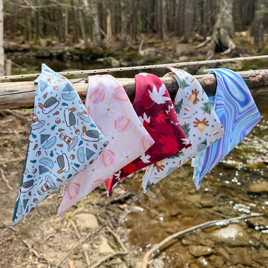 Endless Summer Adventures Reversible Weatherproof Dog Bandana