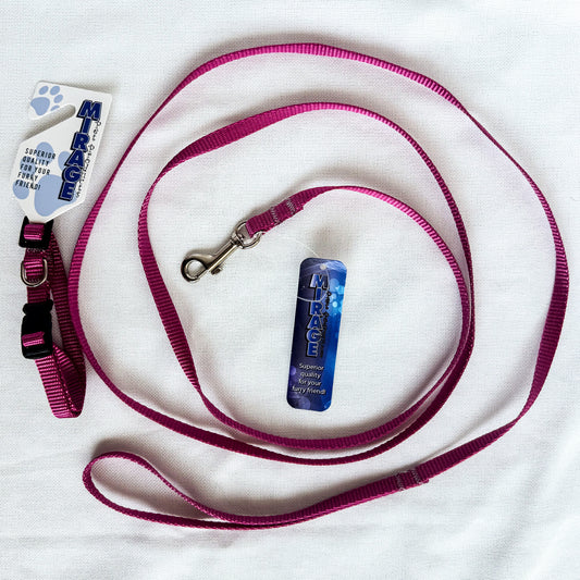Matching Leash and Collar Set