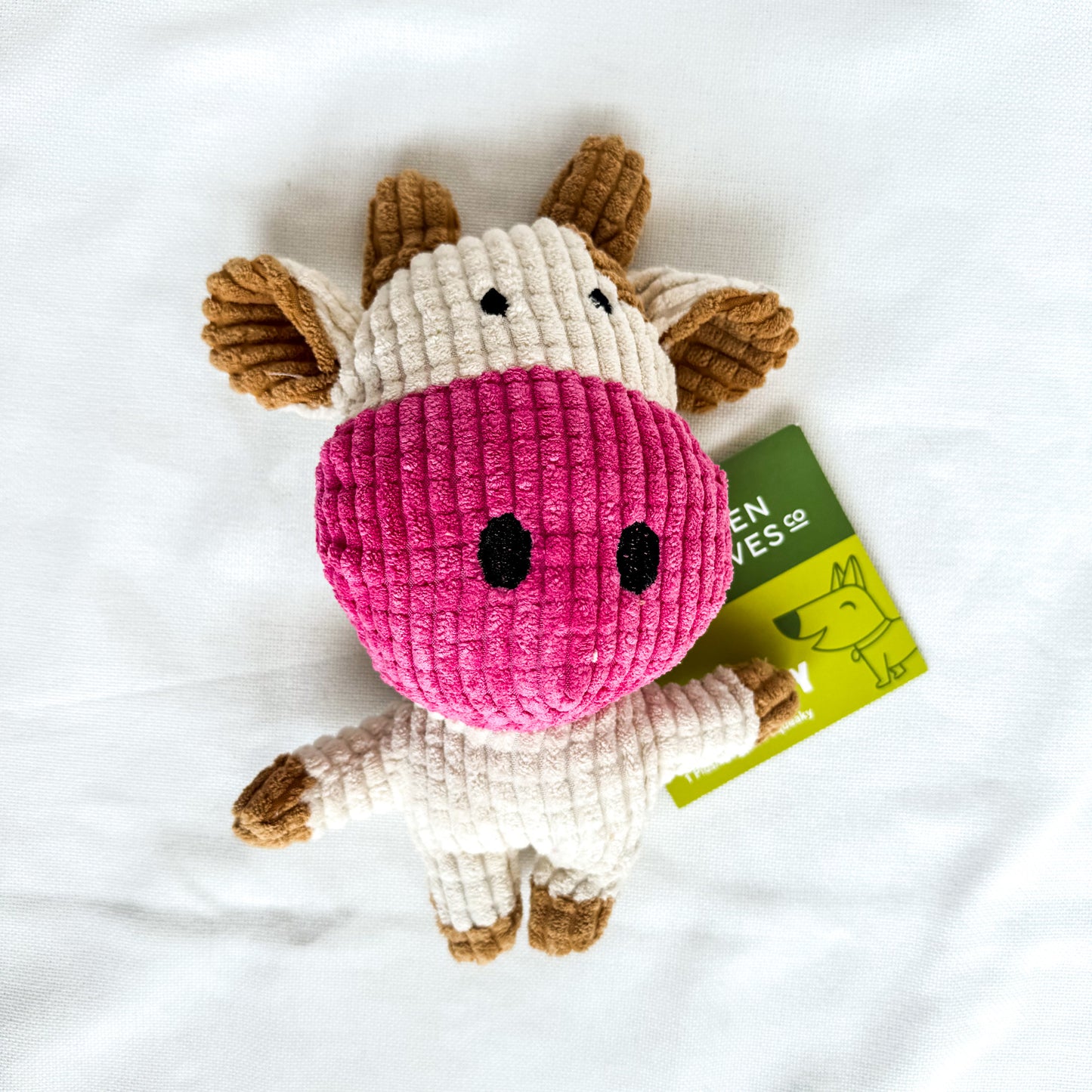 Squeaky Plush Dog Toy