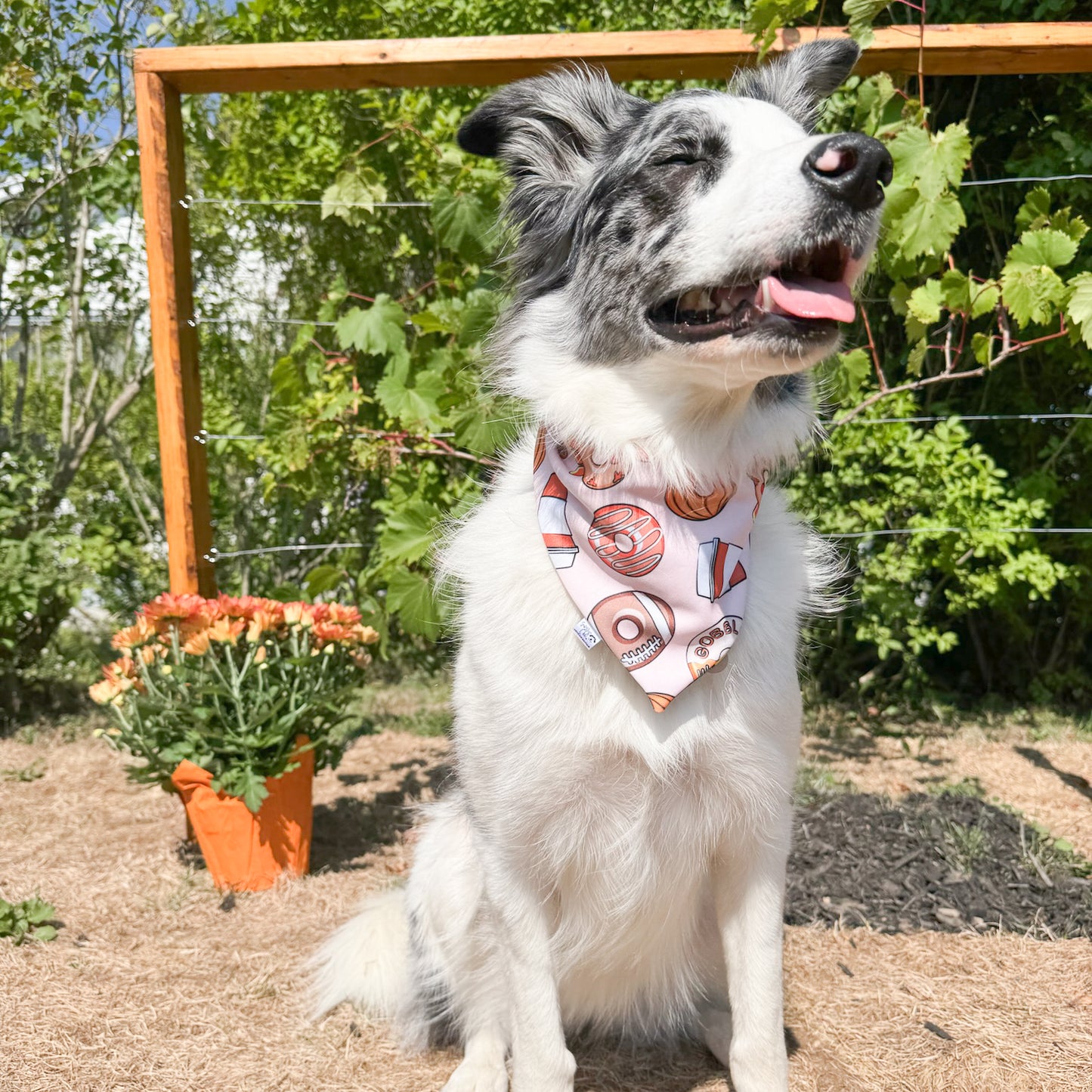 Fall Fun Reversible Weatherproof Dog Bandanas