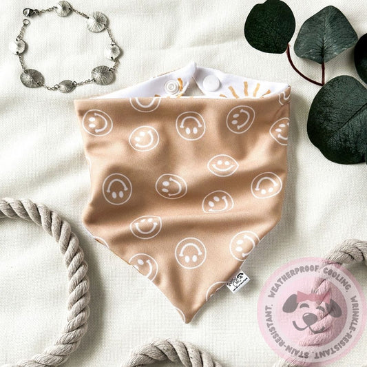 Suns & Smiles Reversible Weatherproof Dog Bandana