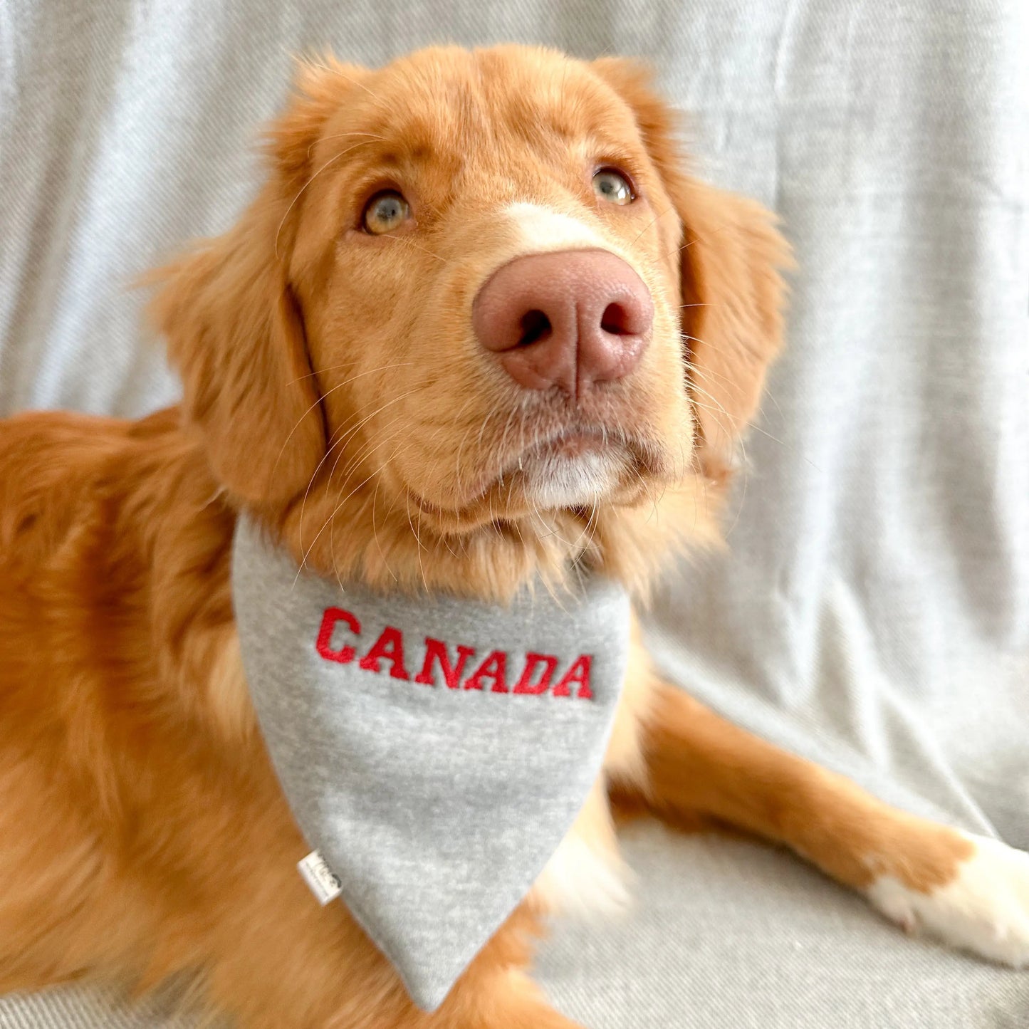 CANADA Embroidered Bandana