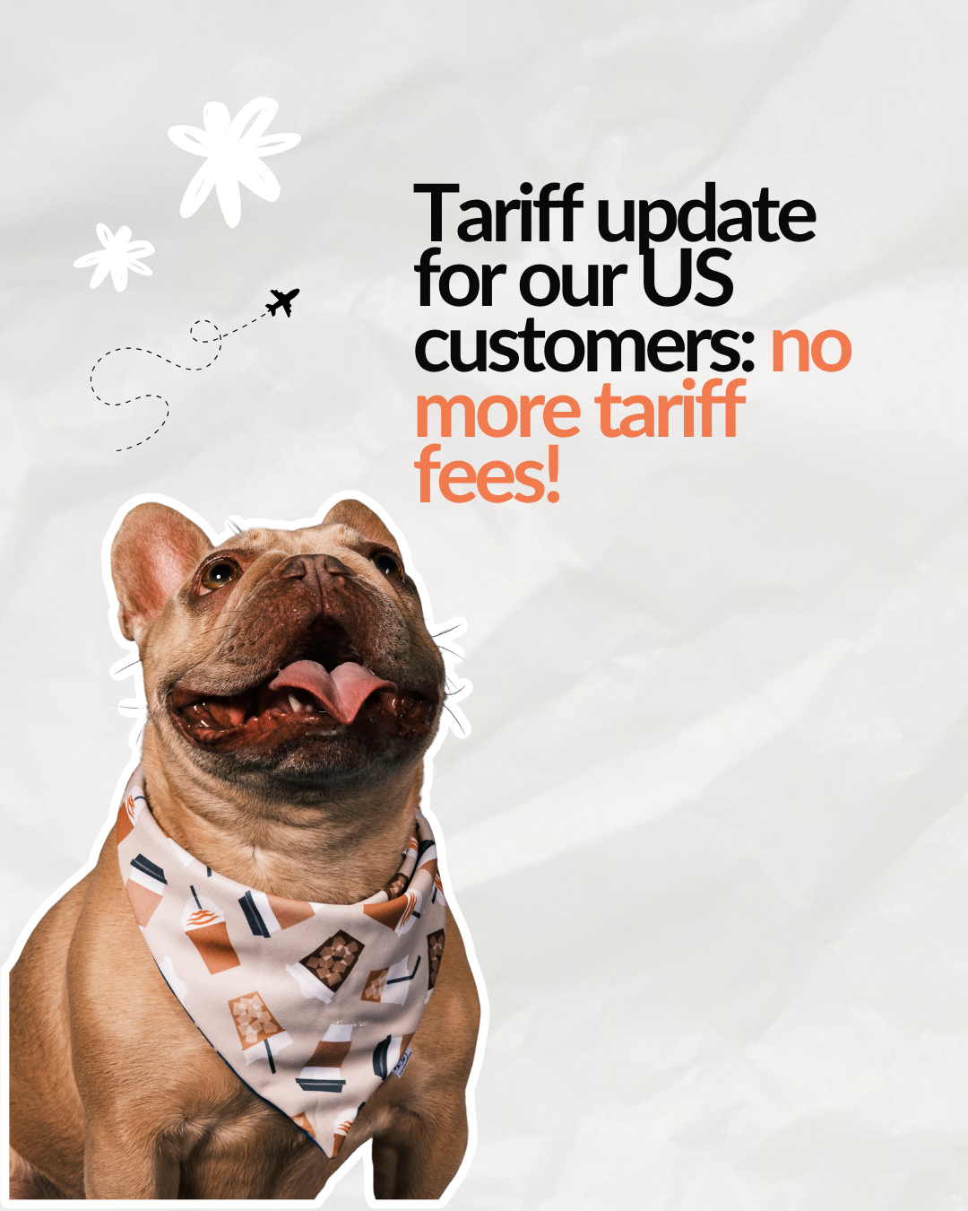 Good News for Our US Customers: Dog Bandanas + Dog Bows Are Now Tariff Free