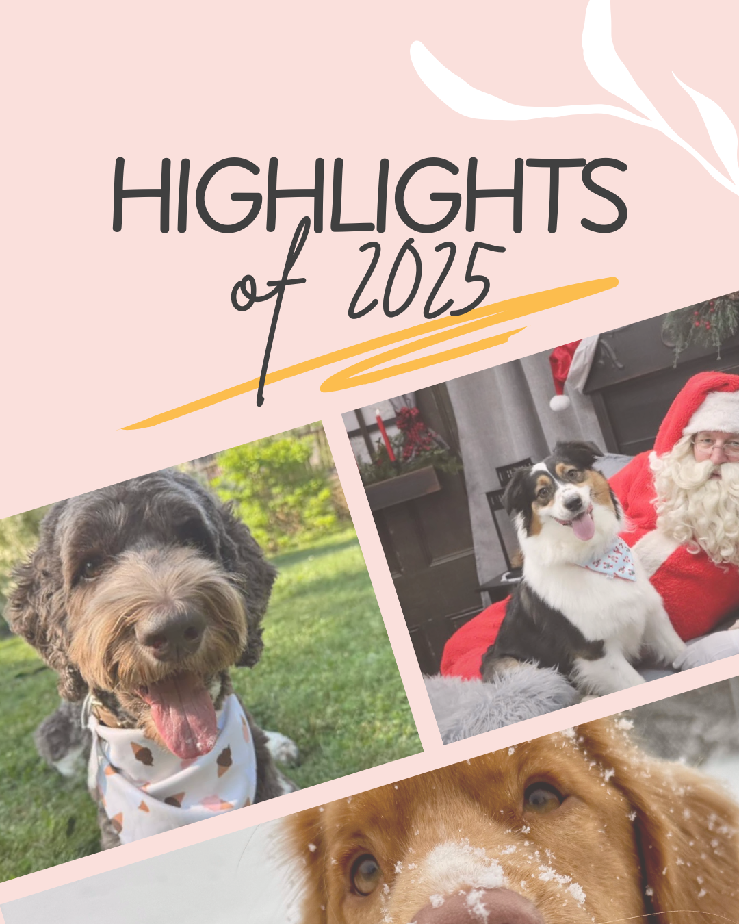 Wrapped in Sparkle: Our 2025 Year in Review ✨