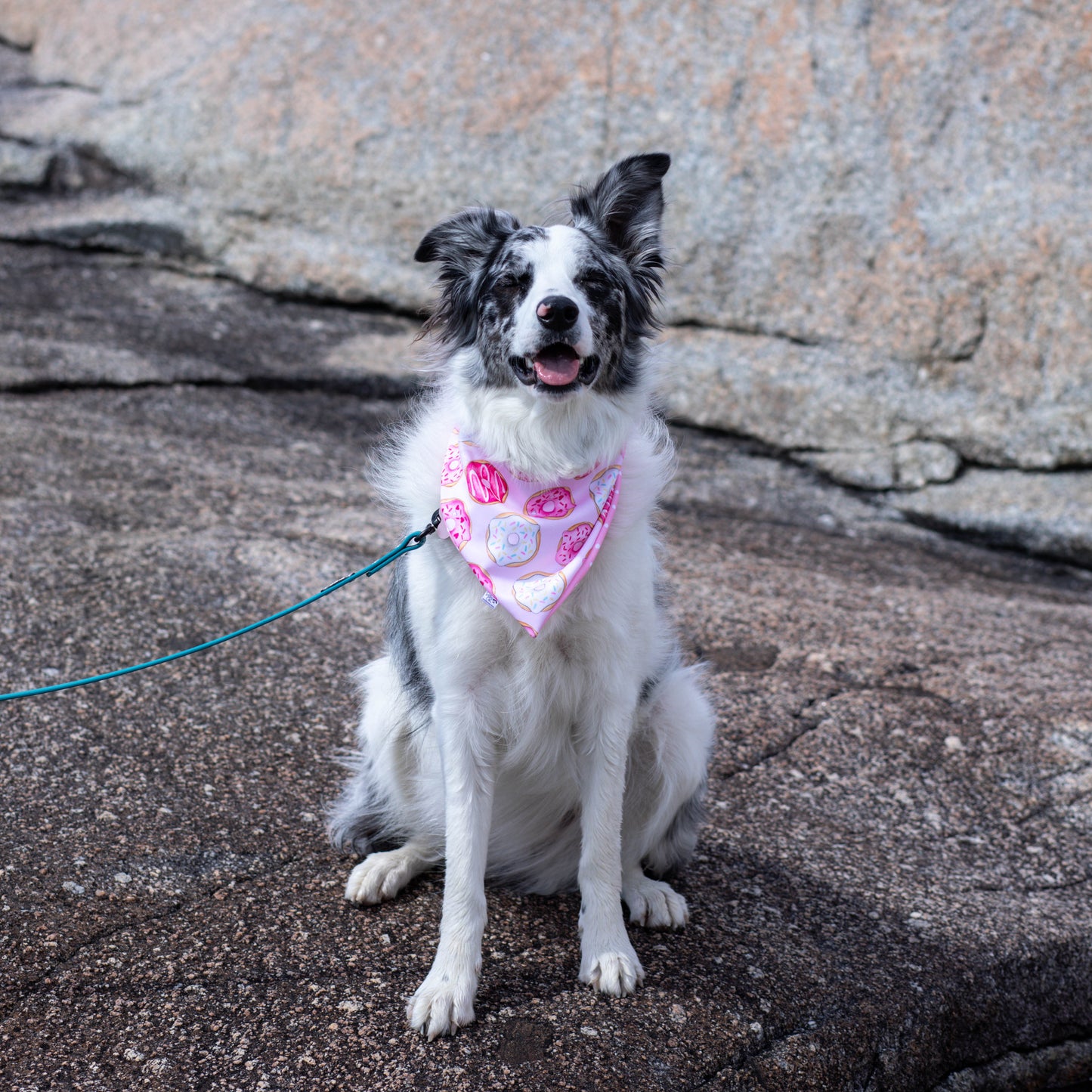 Donuts & Dots Reversible Weatherproof Dog Bandana