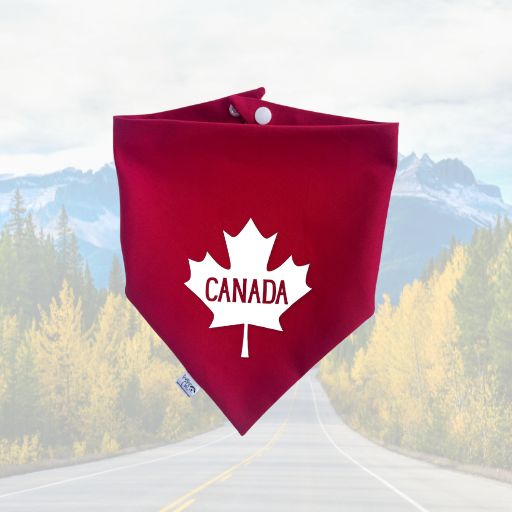 Cana-danas 🇨🇦 - Canada Maple Leaf