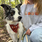 Crisp & Cozy Fall Sweatshirt - Snuggle Season
