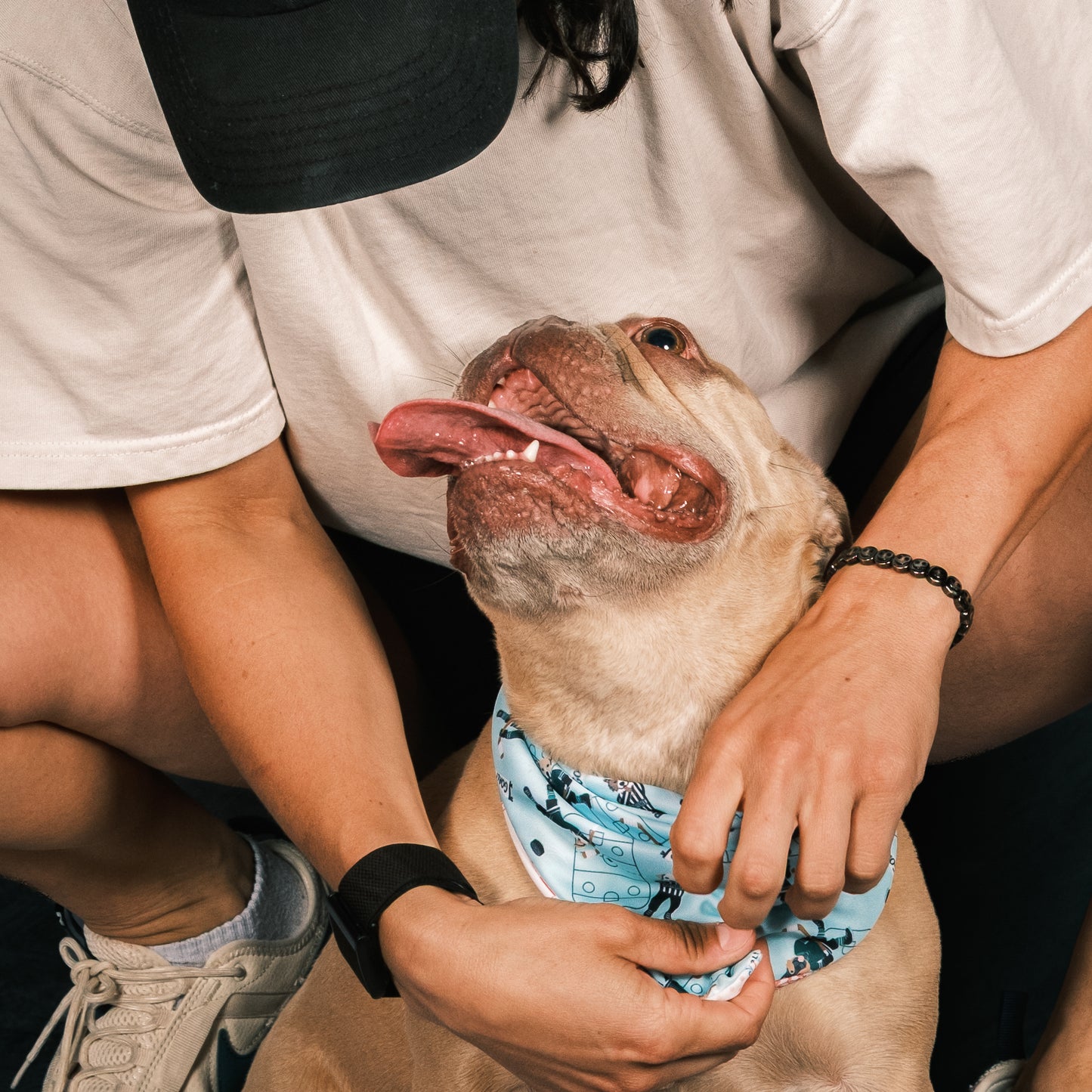 Harbour Hockey Reversible Weatherproof Dog Bandana
