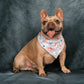 Harbour Hockey Reversible Weatherproof Dog Bandana