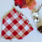 Crisp and Cozy Fall Reversible Weatherproof Dog Bandana - Autumn Crisp