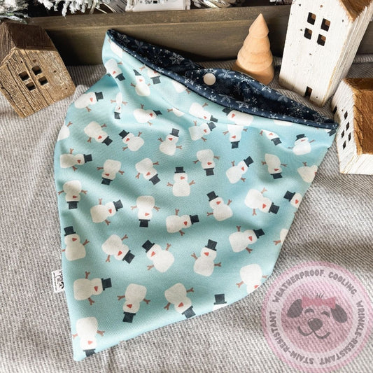 Flurry Fun Reversible Weatherproof Dog Bandana