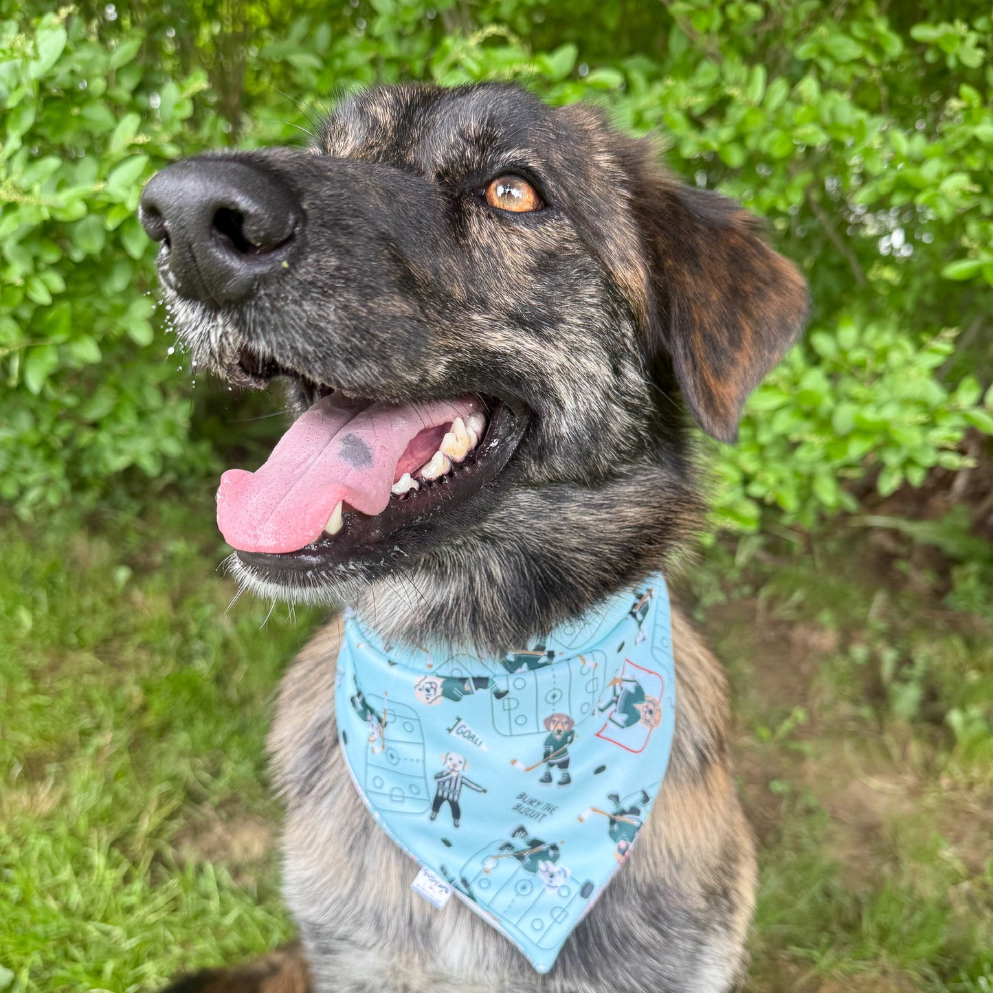 Harbour Hockey Reversible Weatherproof Dog Bandana