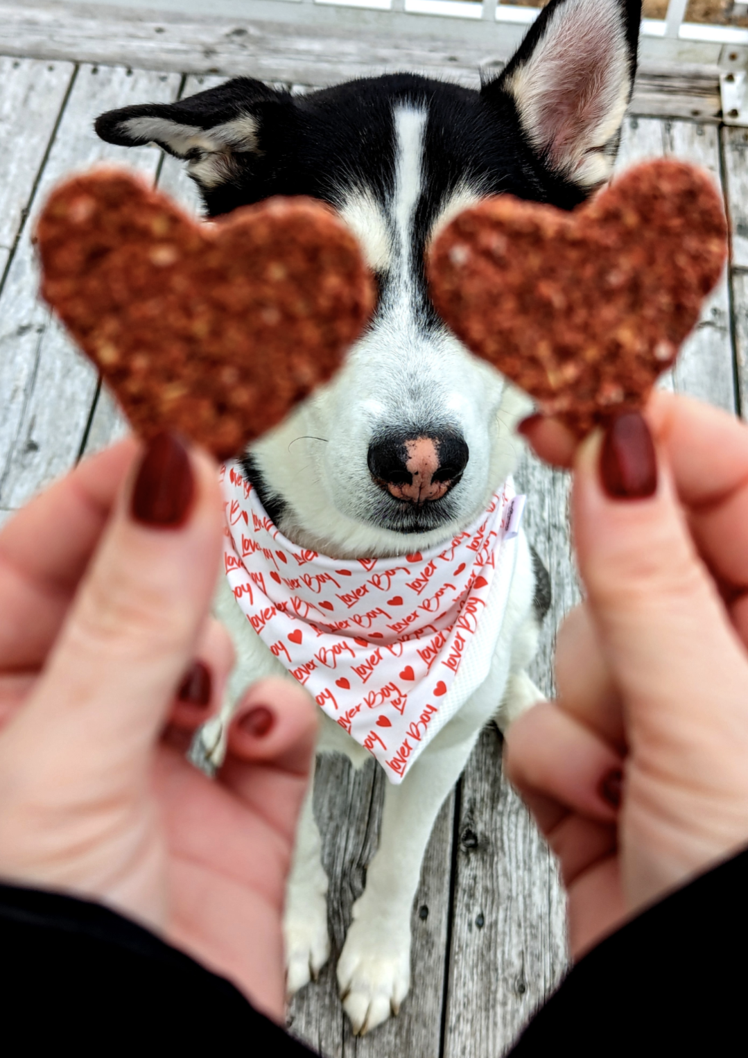 Salty Dogs Barkery Heart Beets Dog Treats