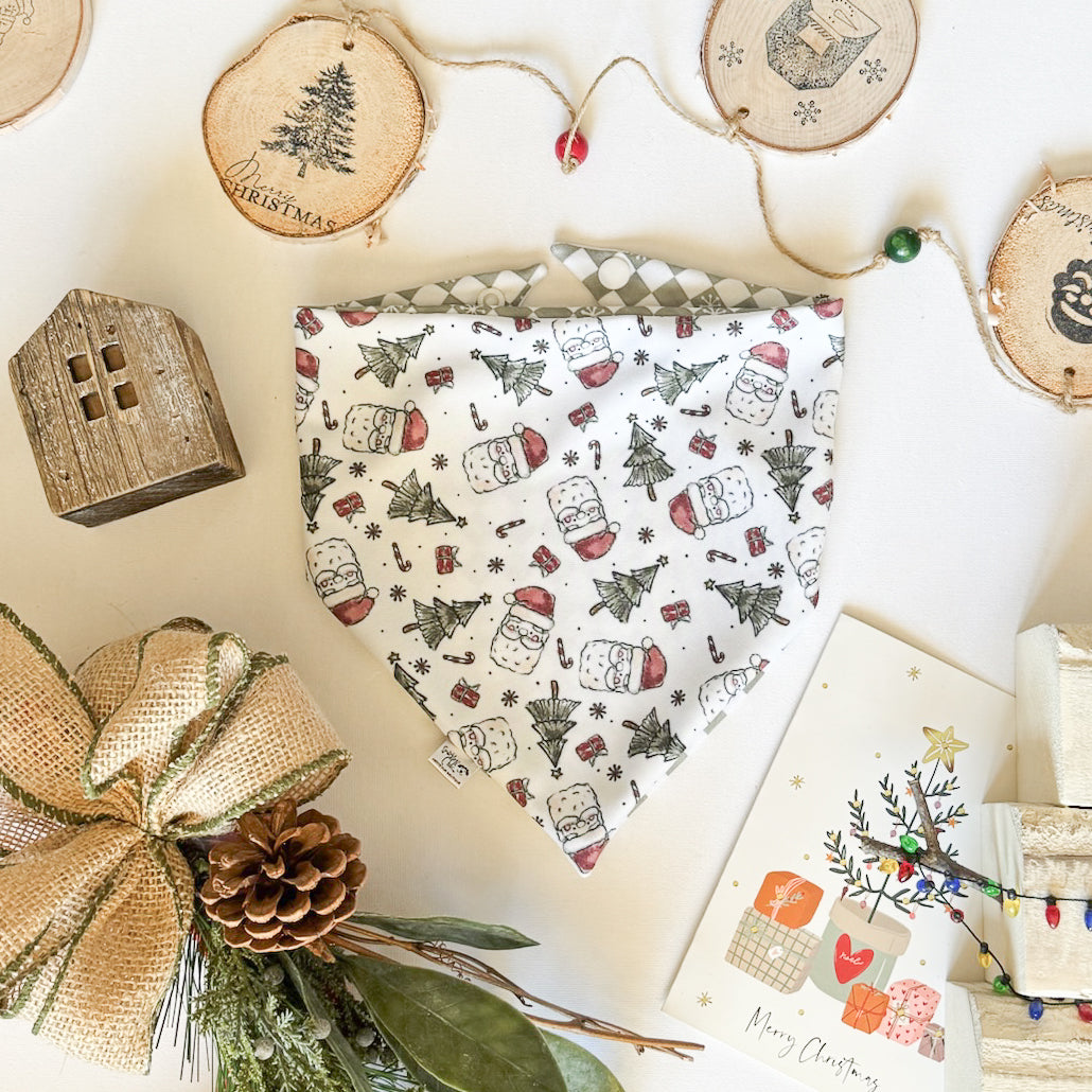 Festive Fun Reversible Weatherproof Dog Bandanas