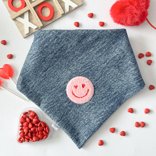 Be Mine Denim Dog Bandana