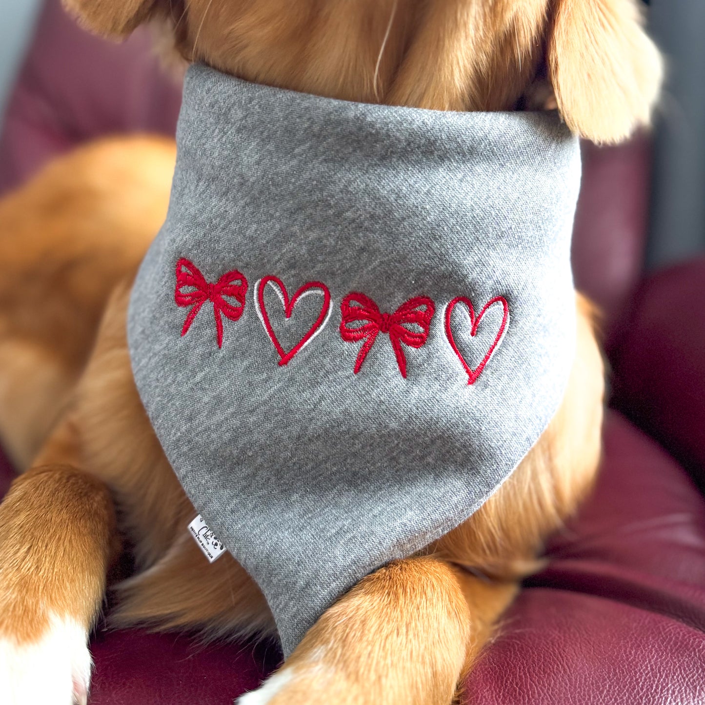 Adore-A-Bow Valentine's Bandana