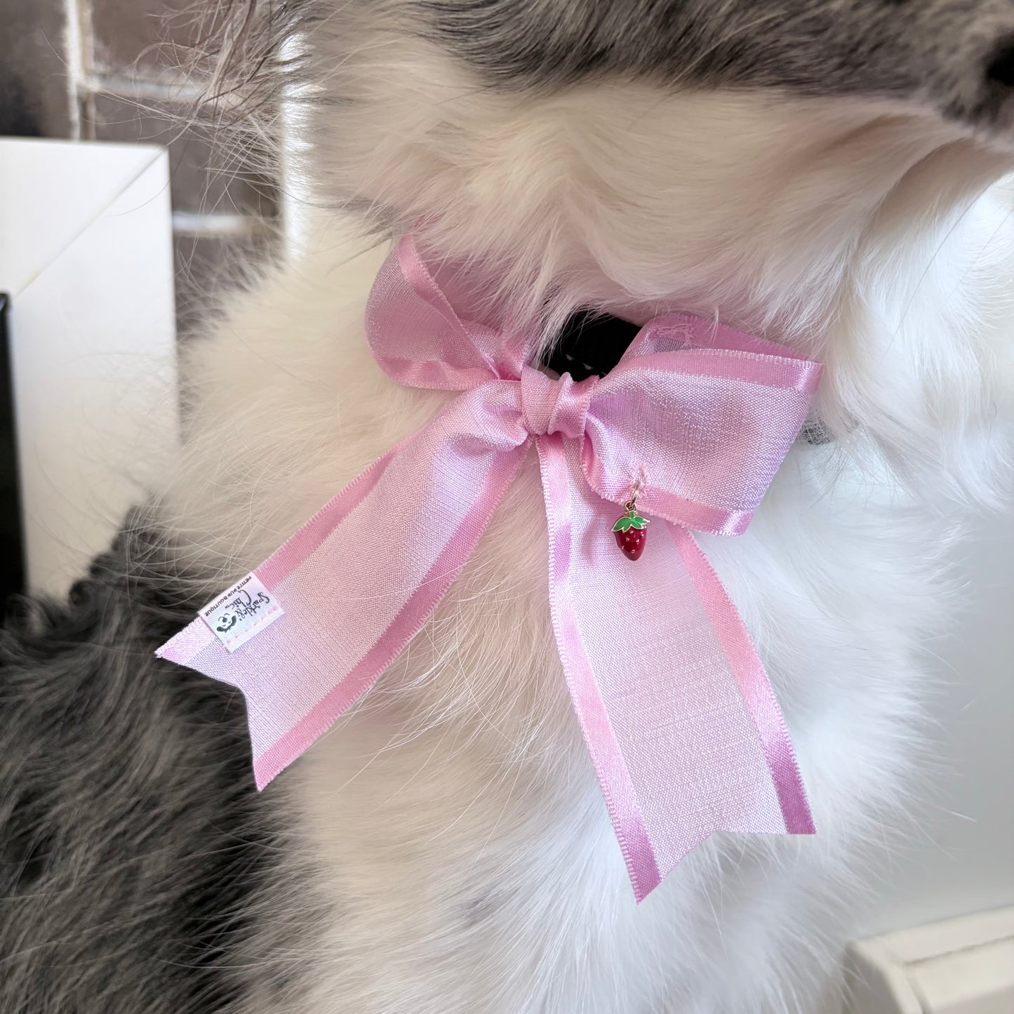 Charm Bows