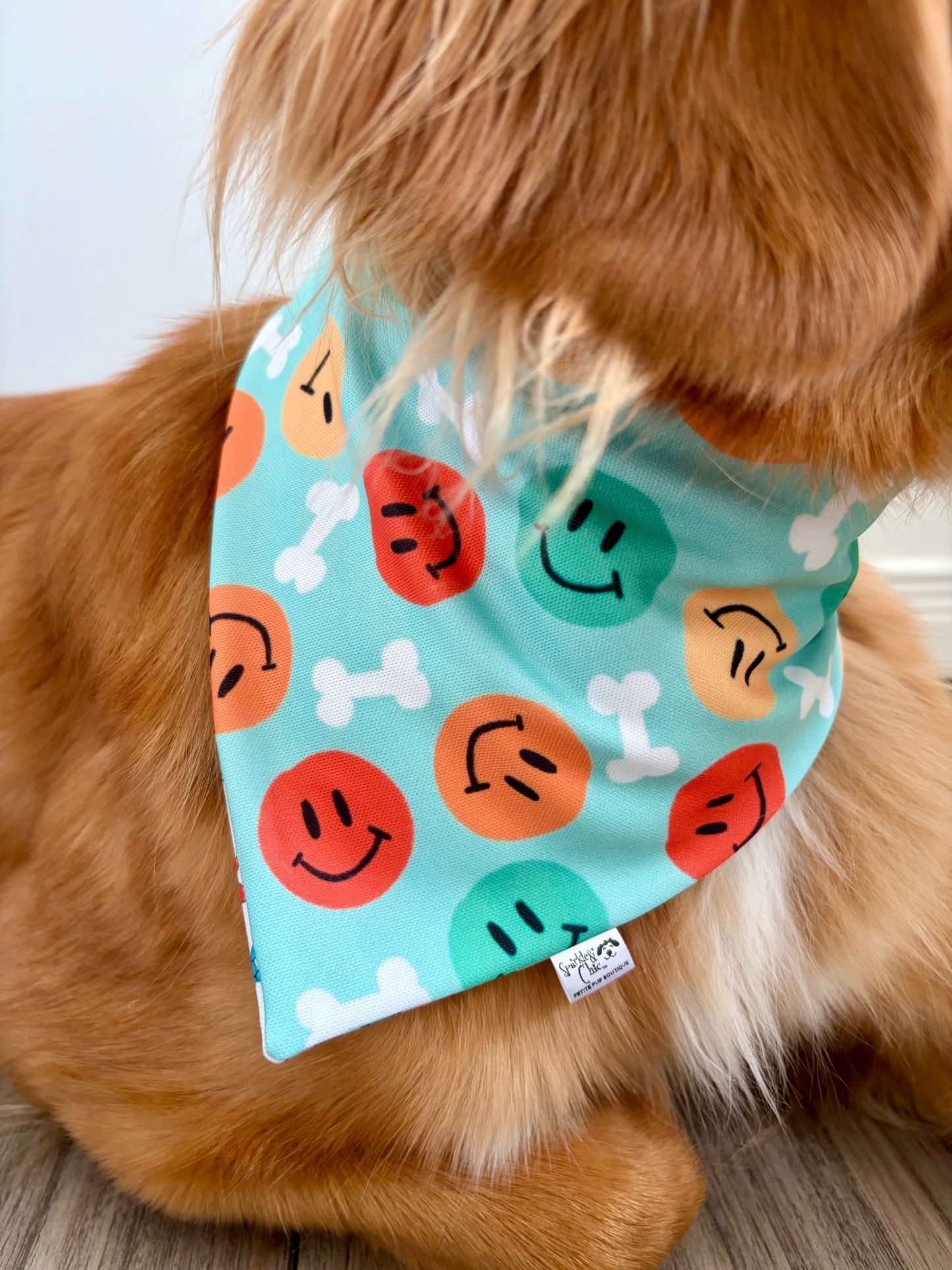 Very Happy Birthday Celebration Reversible Weatherproof Dog Bandana