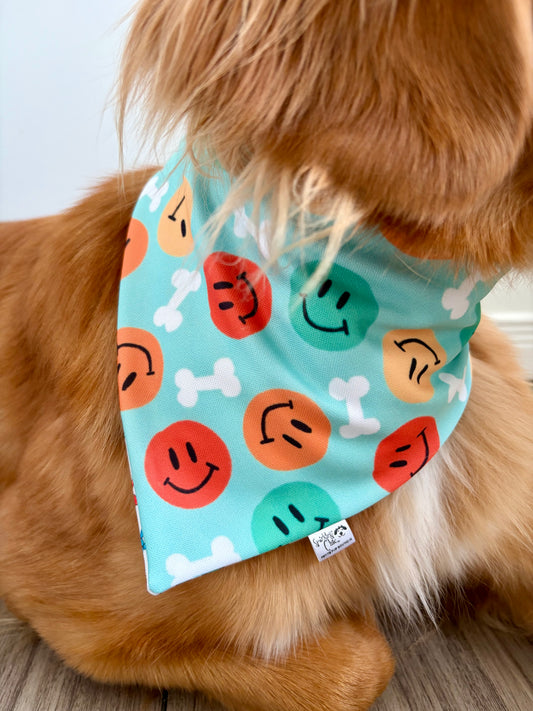 Very Happy Birthday Celebration Reversible Weatherproof Dog Bandana
