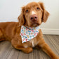 Very Happy Birthday Celebration Reversible Weatherproof Dog Bandana