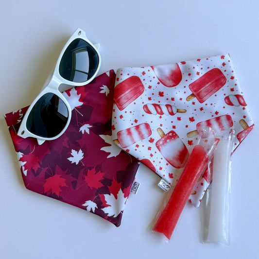 Endless Summer Adventures Reversible Weatherproof Dog Bandana - Canadian Pupsicle