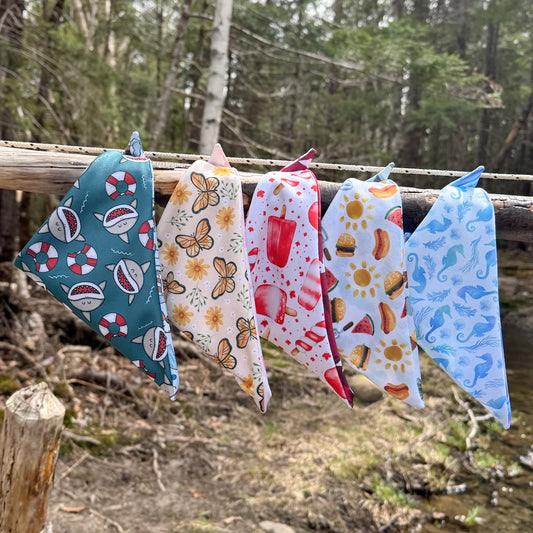 Endless Summer Adventures Reversible Weatherproof Dog Bandana