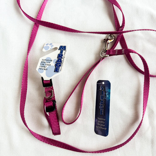 Matching Leash and Collar Set