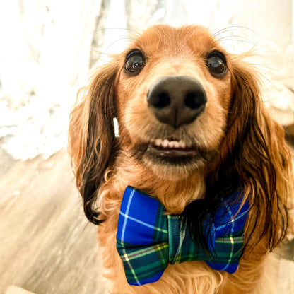 Nova Scotia Tartan Classic Dog Bowtie