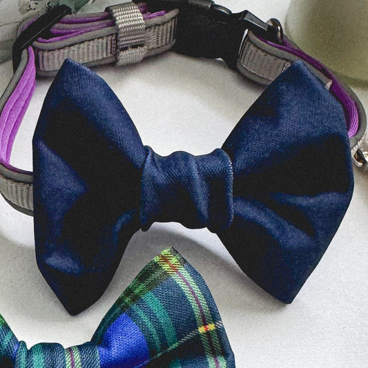 Weatherproof Bowties - Navy Blue