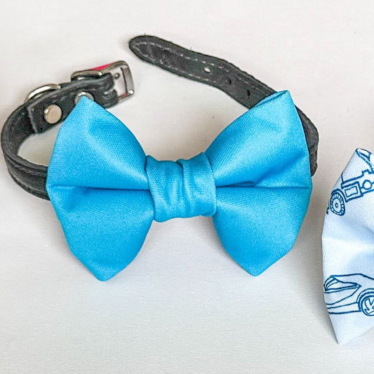 Neon Fun Weatherproof Bowties - Neon Blue