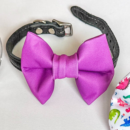 Neon Fun Weatherproof Bowties - Neon Purple