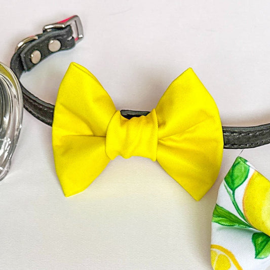 Neon Fun Weatherproof Bowties - Neon Yellow