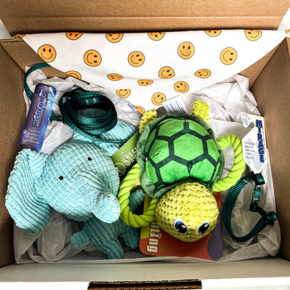 Happy Puppy Essentials Box