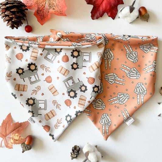 Fall Fun Reversible Weatherproof Dog Bandanas - Bone & Bale