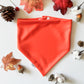 Fall Fun Reversible Weatherproof Dog Bandanas