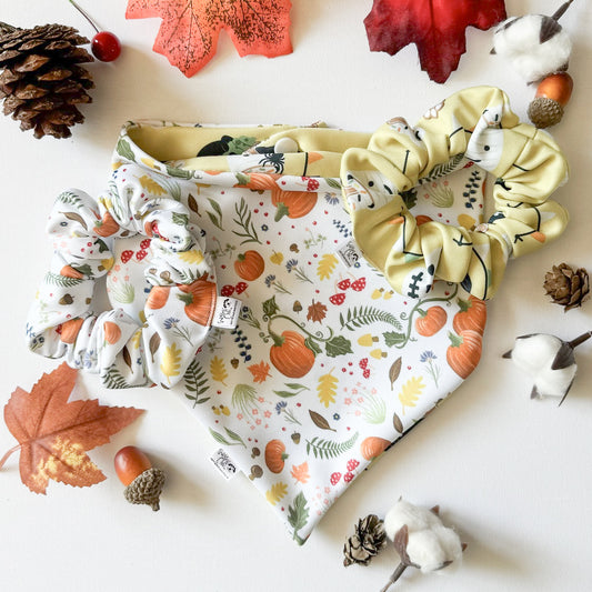 Fall Fun Matching Scrunchies