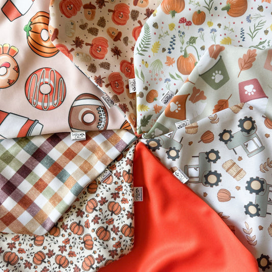 Fall Fun Reversible Weatherproof Dog Bandanas