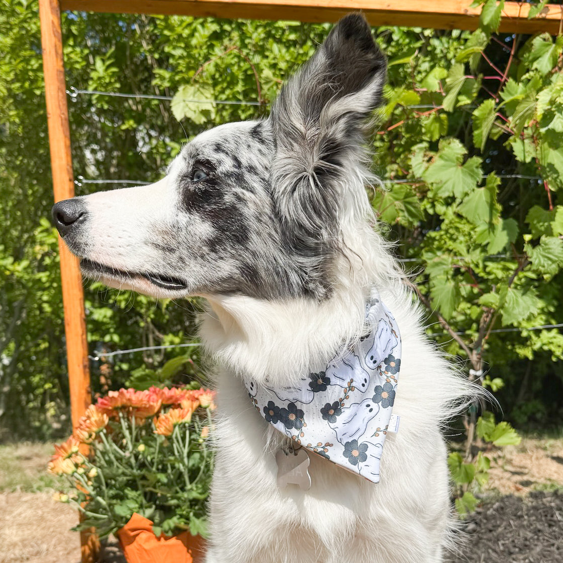 Fall Fun Reversible Weatherproof Dog Bandanas