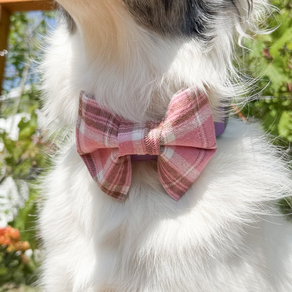 Paw-fectly Plaid Dog Bowties