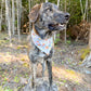 Fall Fun Reversible Weatherproof Dog Bandanas