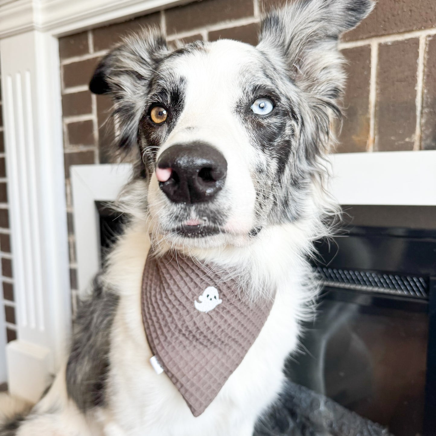 Fall Waffle Knit Embroidered Dog Bandanas