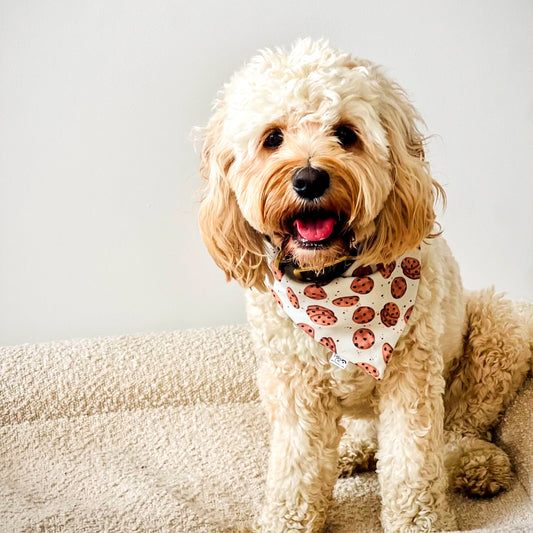 Checkered Chocolate Chip Charm Reversible Weatherproof Dog Bandana