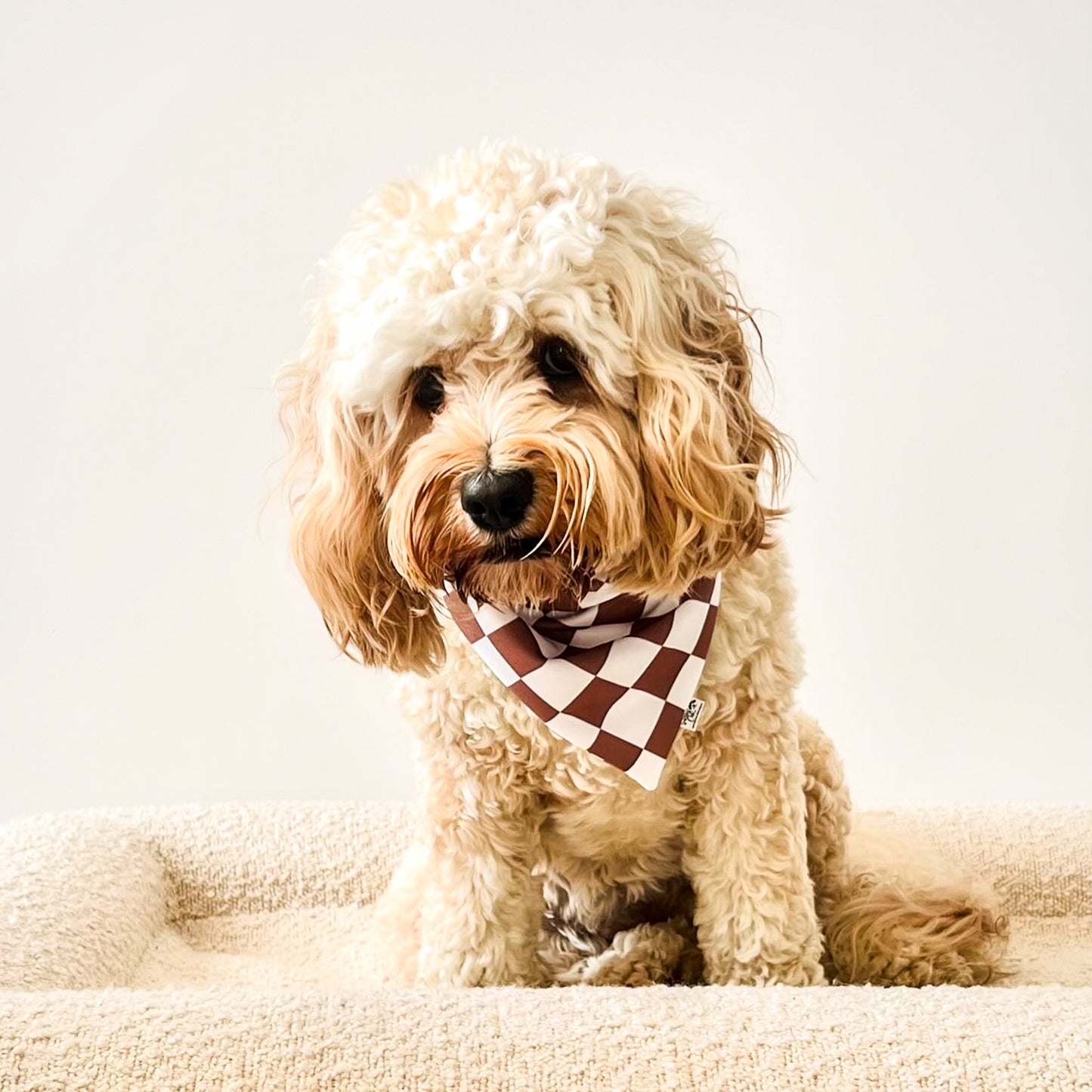 Checkered Chocolate Chip Charm Reversible Weatherproof Dog Bandana